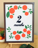 Little Cutie Pregnancy Announcement & Monthly Felt Board Bundle