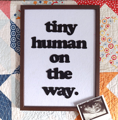 "Tiny Human" Felt Board Bundle